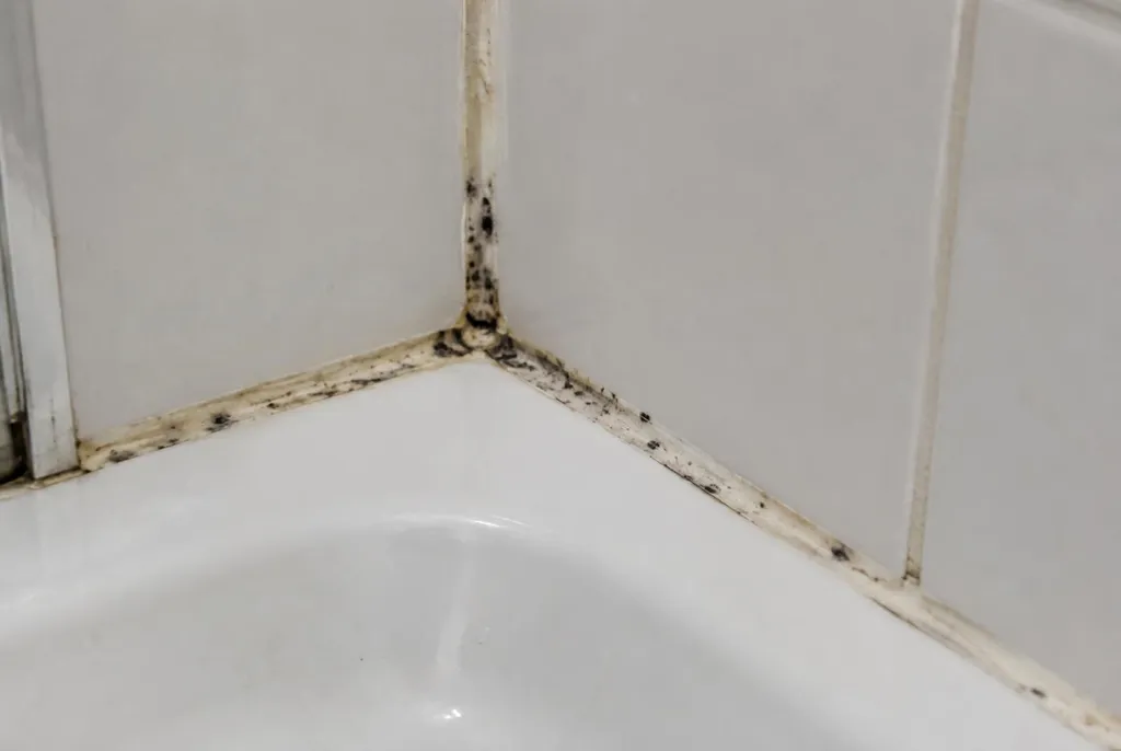 Kitbedrijf Putten – beschimmelde kitranden